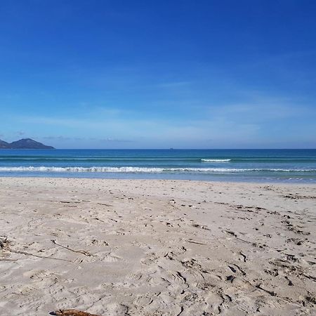 Ideal Property Mallorca - Sa Vinya Vella 阿尔库迪亚 外观 照片