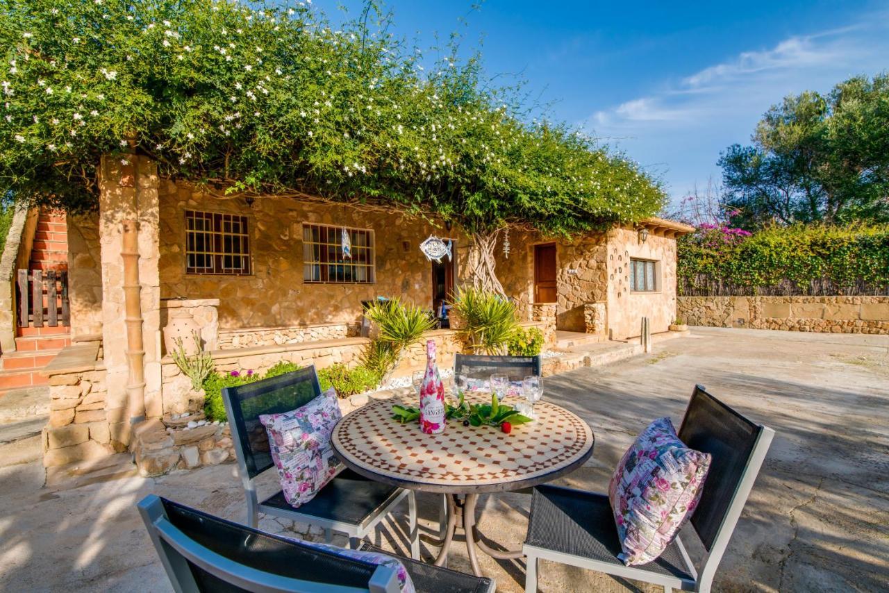Ideal Property Mallorca - Sa Vinya Vella 阿尔库迪亚 外观 照片