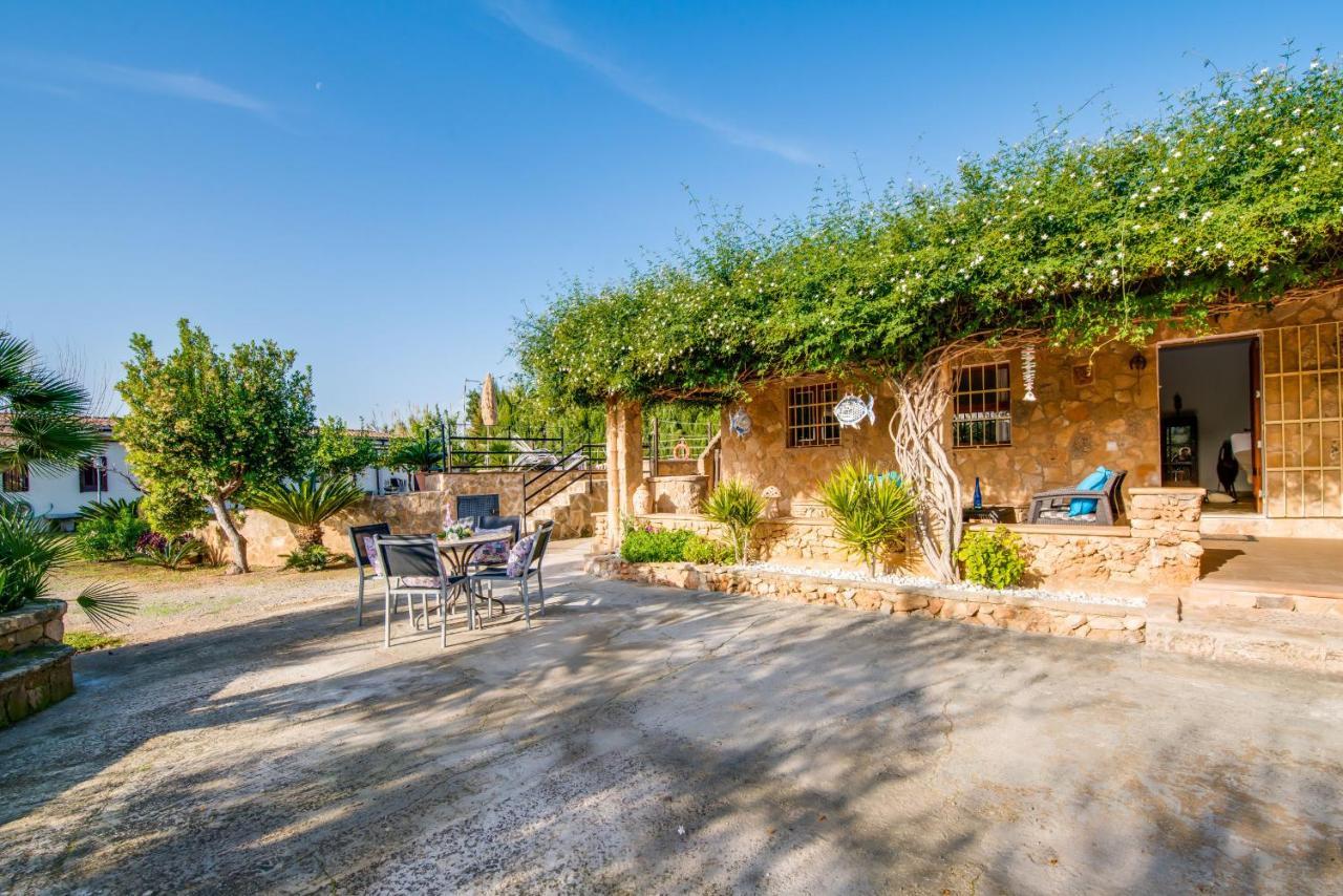 Ideal Property Mallorca - Sa Vinya Vella 阿尔库迪亚 外观 照片