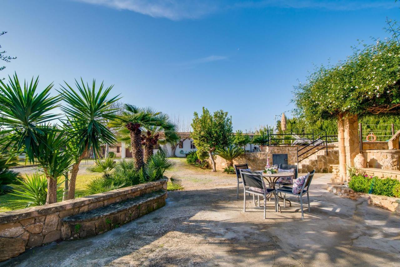 Ideal Property Mallorca - Sa Vinya Vella 阿尔库迪亚 外观 照片