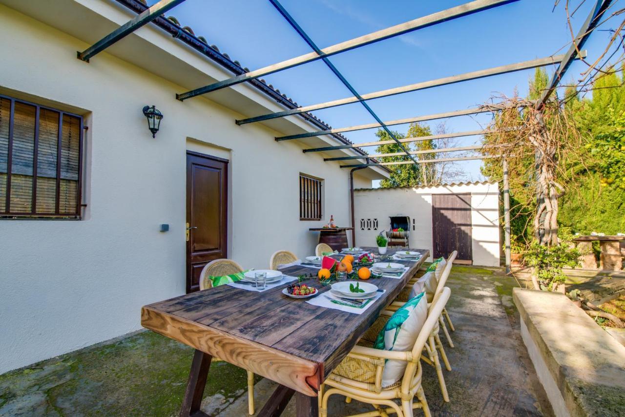 Ideal Property Mallorca - Sa Vinya Vella 阿尔库迪亚 外观 照片