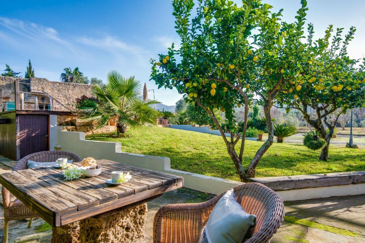 Ideal Property Mallorca - Sa Vinya Vella 阿尔库迪亚 外观 照片