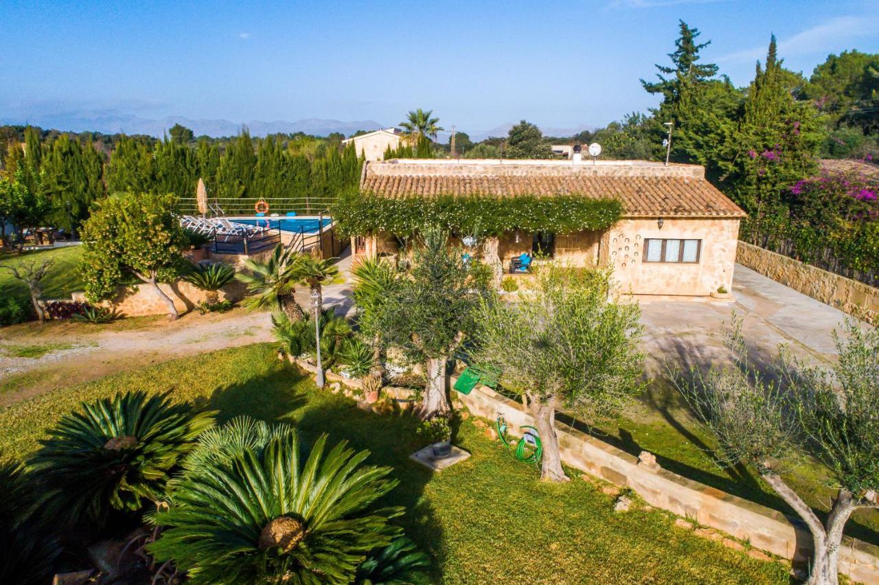Ideal Property Mallorca - Sa Vinya Vella 阿尔库迪亚 外观 照片