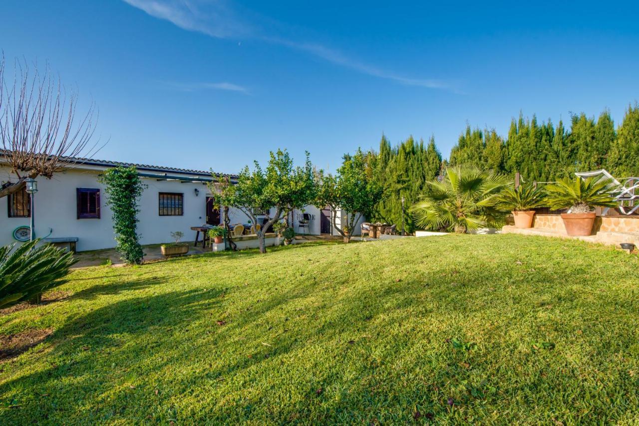 Ideal Property Mallorca - Sa Vinya Vella 阿尔库迪亚 外观 照片
