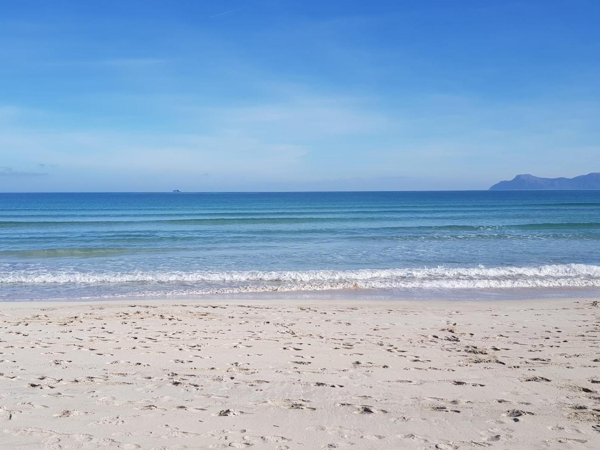 Ideal Property Mallorca - Sa Vinya Vella 阿尔库迪亚 外观 照片