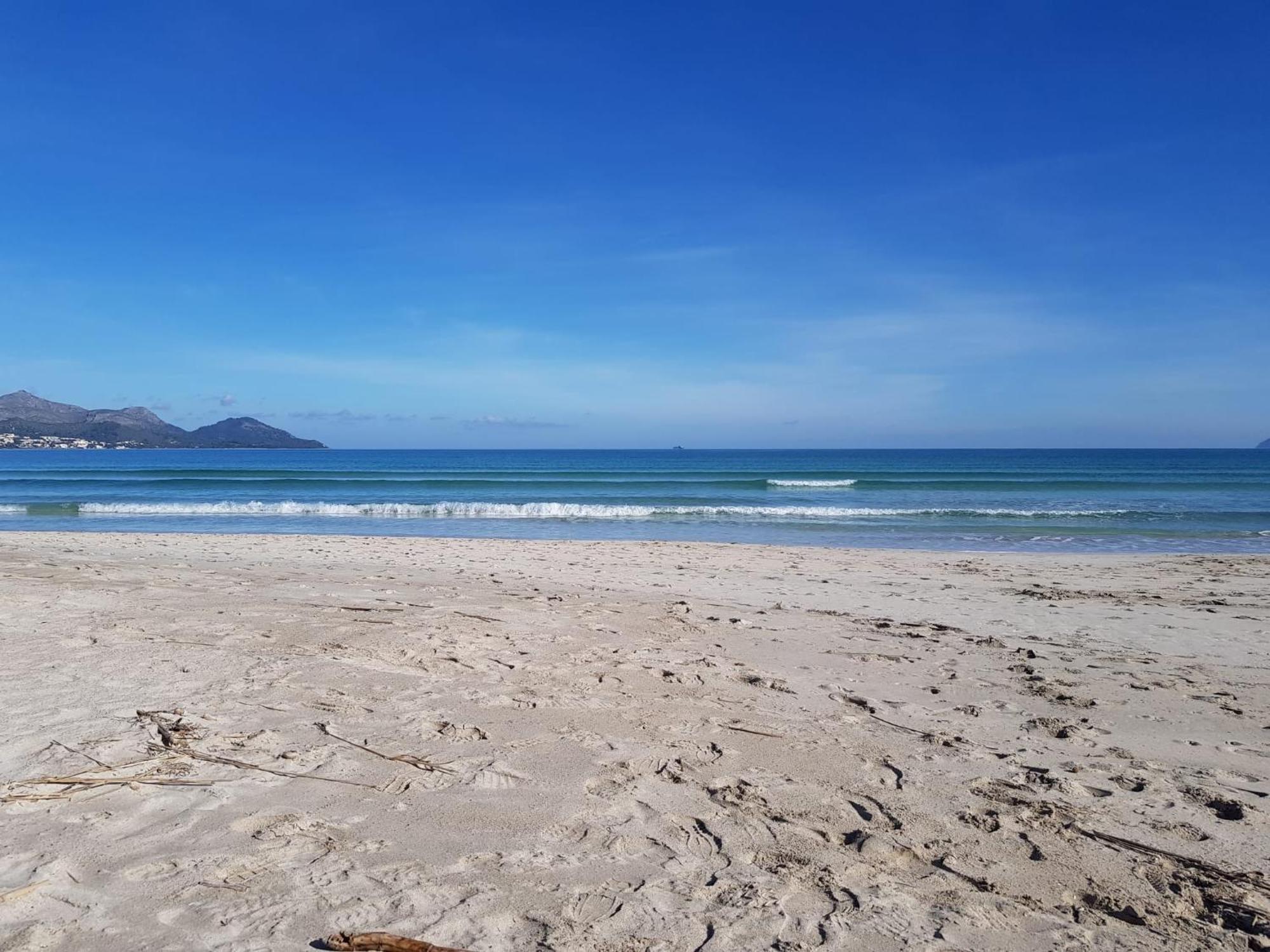 Ideal Property Mallorca - Sa Vinya Vella 阿尔库迪亚 外观 照片
